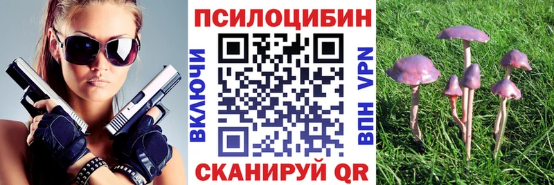 Псилоцибиновые грибы MAGIC MUSHROOMS  Николаевск-на-Амуре 
